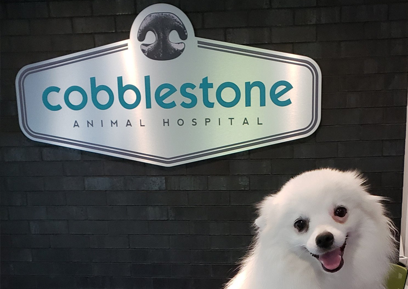 Carousel Slide 2: Learn more about us!